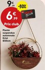 Plante suspendue automnale Krist - Maxi Bazar à Vitry-sur-Seine Plante suspendue automnale Krist en promo chez Maxi Bazar Vitry-sur-Seine à 6,99 €