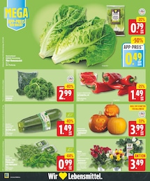 Christrose Angebot & Preis im aktuellen EDEKA Prospekt Christrose Angebot im aktuellen EDEKA Prospekt auf Seite 4