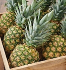 Intermarché Super Louvie-Juzon - Promo Ananas Promo Ananas à 1,58 € dans le catalogue Intermarché Super à Louvie-Juzon