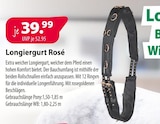 Kiebitzmarkt Winsen - Longiergurt Rosé Angebot im Prospekt Longiergurt Rosé bei Kiebitzmarkt im Winsen Prospekt für 39,99 €