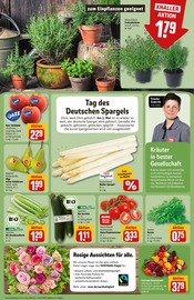 Ähnliche Angebote wie Weihnachtsstern im Prospekt "Dein Markt" auf Seite 7 von REWE in Rodgau