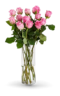 Aktuelle Blumen Angebote bei Kaufland in Dortmund Aktuelles Rosenstrauß Angebot bei Kaufland in Dortmund ab 5,99 €