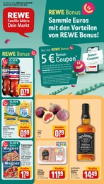 Der aktuelle REWE Prospekt Dein Markt