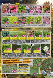 Obst im Hornbach Prospekt in Wuppertal Aktueller Hornbach Prospekt mit Obst, "Dir ist vieles Latte. Nur nicht Dein Garten.", Seite 15