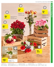 Fleurs Angebote im Prospekt "FÊTE DES ÉCOLES" von Carrefour Fleurs Angebote im Prospekt "FÊTE DES ÉCOLES" von Carrefour auf Seite 29