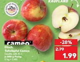 Tafeläpfel im Angebot bei Kaufland in Homburg Tafeläpfel Angebote von cameo bei Kaufland Homburg für 1,99 €