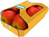 Aktuelle Äpfel Angebote bei REWE in Essen Aktuelles Rote Tafeläpfel Angebot bei REWE in Essen ab 1,59 €
