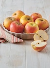 Pomme - Super U à Nanterre Pomme en promo chez Super U Nanterre à 2,49 €