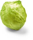 Eisbergsalat im Netto Marken-Discount Prospekt Eisbergsalat von im aktuellen Netto Marken-Discount Prospekt für 0,88 €