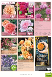 Bekleidung im Blumen Risse Prospekt in Moers Aktueller Blumen Risse Prospekt mit Bekleidung, "Blütenglück für Ihr Sommerparadies", Seite 3