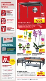 Blumen im toom Baumarkt Prospekt in Gifhorn Aktueller toom Baumarkt Prospekt mit Blumen, "Respekt, wer's selber macht.", Seite 2