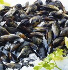 Moules de bouchot - Géant Casino Moules de bouchot à 4,99 € dans le catalogue Géant Casino