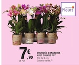 Orchidée 2 branches avec couvre pot - KOLIBRI en promo à 7,90 € chez E.Leclerc Orchidée 2 branches avec couvre pot - KOLIBRI dans le catalogue E.Leclerc