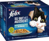 Katzenfutter von Felix im aktuellen Globus-Baumarkt Prospekt