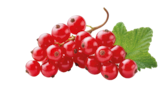 Rote Johannisbeeren Angebot in Erftstadt Rote Johannisbeeren im aktuellen Prospekt bei REWE in Erftstadt