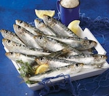 Sardine - Super U à Antony Sardine en promo chez Super U Antony à 3,50 €
