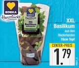XXL Basilikum von EDEKA Herzstücke im aktuellen EDEKA Prospekt für 1,79 €