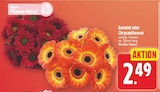 WEZ - Germini Angebot im Prospekt Germini bei WEZ im Prospekt "" für 2,49 €