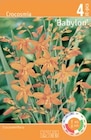 Crocosmia Angebote bei Thomas Philipps Frechen für 1,49 €