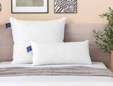 3-Kammer-Kopfkissen „Aida“ im Segmüller Prospekt 3-Kammer-Kopfkissen „Aida“ von billerbeck im aktuellen Segmüller Prospekt für 59,99 €