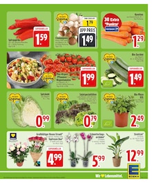 Tomaten im aktuellen EDEKA Prospekt (Augsburg) Tomaten im EDEKA Prospekt "Wir lieben Lebensmittel." mit 26 Seiten (Augsburg)