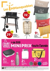 Promos Sac Isotherme dans le catalogue "Bien être dans son jardin" de Maxi Bazar à la page 20