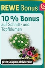 Aktuelle Blumen Angebote bei REWE in Stuttgart Aktuelles 10 % Bonus Angebot bei REWE in Stuttgart