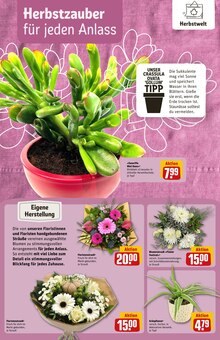 Blumen im aktuellen REWE Prospekt (Kiel) Blumen im REWE Prospekt "Dein Markt" mit 42 Seiten (Kiel)