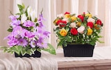 Jardinière glaieuls et arums à 14,99 € dans le catalogue Gifi