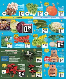 EDEKA Weihnachtsstern im Prospekt 