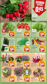 Aktueller REWE Prospekt mit Bio Lebensmittel, "Dein Markt", Seite 7