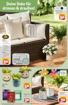Blumentopf im REWE Prospekt "Dein Markt" mit 32 Seiten (Köln)