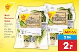 Aktuelles Mini-Romana Salat Angebot bei Netto Marken-Discount in Mannheim ab 2,00 €