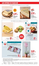 Promos Plante Verte dans le catalogue "LES PRODUITS U À PRIX BAS" de Super U Plante Verte en promo dans le catalogue Super U à la page 28