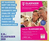 Telebaumann - Glasfaser 300 Angebot im Prospekt Glasfaser 300 bei Telebaumann im Prospekt "" für 19,95 €
