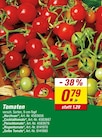 Aktuelles Harzfeuer Angebot bei toom Baumarkt in Stuttgart ab 0,79 €