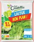 Laitue Bon Plan - LES CRUDETTES - Netto Laitue Bon Plan - LES CRUDETTES à 1,00 € dans le catalogue Netto