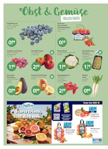 Paprika im V-Markt Prospekt "V-Markt einfach besser einkaufen" mit 26 Seiten (Regensburg)