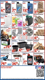 Aktueller Wreesmann Prospekt mit Kettensäge, "DEIN SAISON- & SONDERPOSTENMARKT!", Seite 19