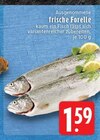 Aktuelle Forelle Angebote bei EDEKA in Mönchengladbach Aktuelles frische Forelle Angebot bei EDEKA in Mönchengladbach ab 1,59 €