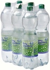 Mineralwasser Medium Angebote von Berg Quellen bei REWE Völklingen für 3,30 €