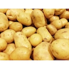Pomme de terre de consommation SIMPL - SIMPL - Carrefour à Cambrai Pomme de terre de consommation SIMPL - SIMPL en promo chez Carrefour Cambrai à 3,45 €