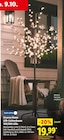LED-Lichterbaum 120/200 LEDs Angebote von Livarno Home bei Lidl Rheinfelden für 19,99 €