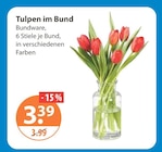 V-Markt Rottenburg (Laaber) Prospekt mit  im Angebot für 3,39 €