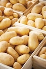 Pomme de Terre de Consommation à Netto dans Maidières