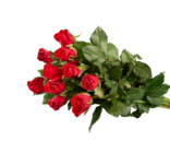 Vos bouquets préférés en promo chez Lidl Grenoble à 1,99 €