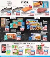 Aktueller HIT Prospekt mit Wild, "ECHTE VIELFALT", Seite 9