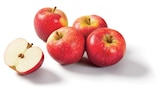 Lidl Fonbeauzard - Promo Pomme bicolore Promo Pomme bicolore à 0,99 € dans le catalogue Lidl à Fonbeauzard