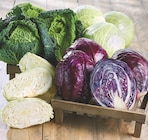 Promo Chou vert à 1,29 € dans le catalogue Netto à Saint-Paul-lès-Romans