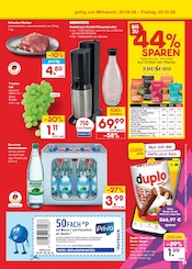 Sodastream im Netto Marken-Discount Prospekt in Nordhausen Aktueller Netto Marken-Discount Prospekt mit Sodastream, "Aktuelle Angebote", Seite 49